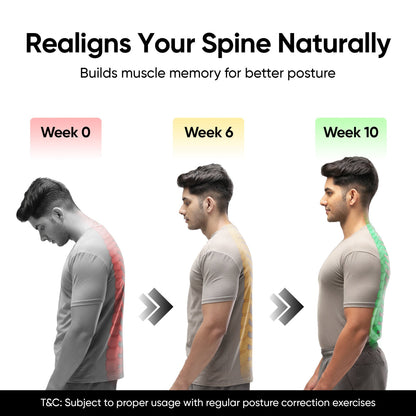 Breathable and Adjustable Posture Corrector Belt for Men and Women